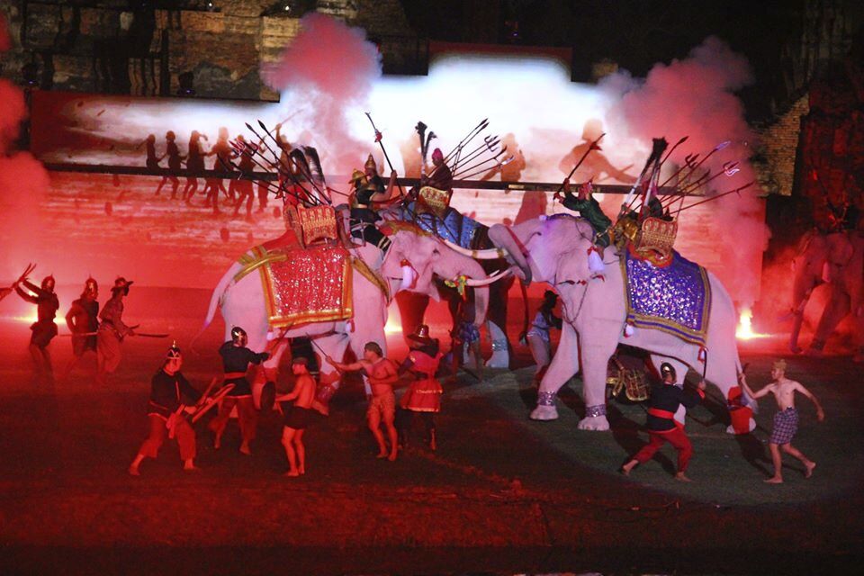 迫力満点のショーをお楽しみください